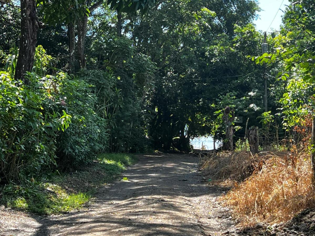 Las Plumas De Cabuya Cabuya  Екстер'єр фото