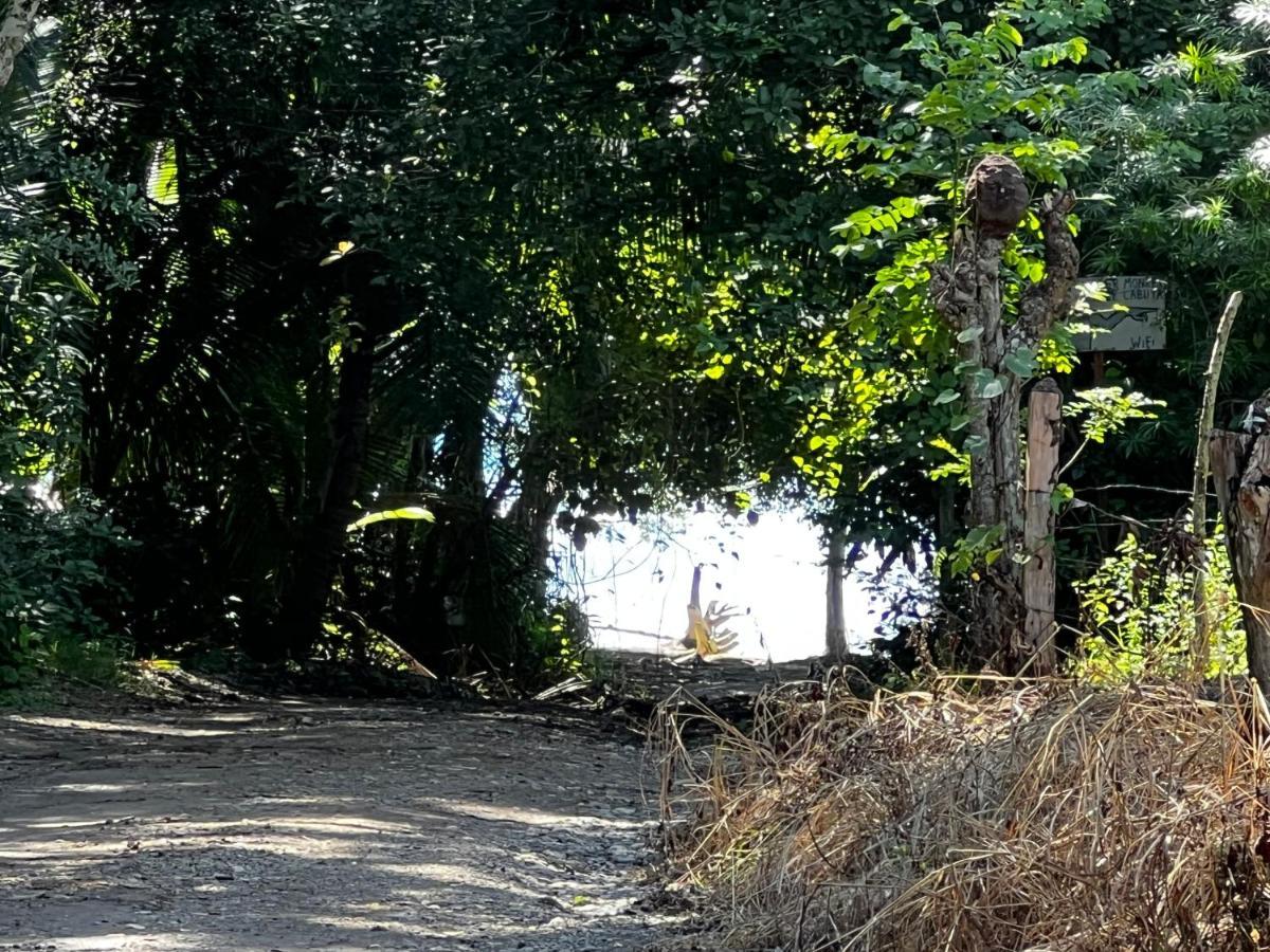 Las Plumas De Cabuya Cabuya  Екстер'єр фото